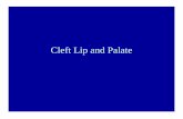 Cleft Lip and Palate - Columbia University · 2005-11-21 · Genetics of Cleft Lip And/ or Palate • Twin studies show – Concordance in MZ twins of 40%-60% – And DZ twin concordance