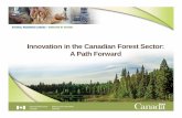 Innovation in the Canadian Forest Sector: A Path Forwardalbertaforestproducts.ca/wp-content/uploads/2016/... · June 2016, CCFM Innovation Action Plan Canadian Wood Fibre Centre ...