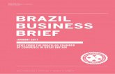 BRAZIL BUSINESS BRIEF to do business in Brazil. China is experiencing economic dif-ficulties and commodity prices are still low. It seems, therefore, that expectations that the impeachment