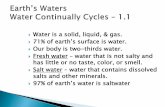 97% of earth’s water is saltwater · Runoff – water from precipitation sinks into the soil or flows into streams or rivers. 85% of water that evaporates on earth is from the oceans.