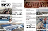  · Customer Testimonials GE"ESUS sow Hillview Colony "Genesus has a good sow. Their Eve born is incomparable, easy to earn 12-12.5 with a top of the line farrowing crate. The Genesus