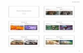 Presentation1 - DIGITAL LITERACYmrszanandrea.weebly.com/uploads/2/2/7/8/22787430/... · Microsoft PowerPoint - Presentation1 Author: Teacher Created Date: 3/28/2016 9:05:29 AM ...
