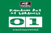 Random Act of Wildness 0159272096998fe6b10897-960f348513c19177814ec4ab5a156a1c.r0.c… · Quiz your friends Write a wildlife quiz to challenge friends. 1 8 Random Act of Wildness