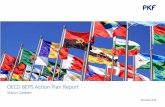 OECD BEPS Action Plan Report - PKF International · 2017-01-11 · The content of the PKF OECD BEPS Action Plan Status Update Report has been compiled and coordinated by both Kurt