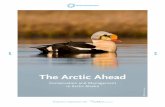 The Arctic Ahead - Ocean Conservancy...Ocean Conservancy The Arctic Ahead: Conservation and Management in Arctic Alaska | 9 A spatially defined area, onshore or offshore, in which