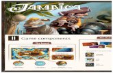 Jamaica Rulebook - 1jour-1jeu · acquire inheritance. She began a military career before sailing where she became close friends With Anne Bonny. They remained inseparable until their
