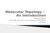 Molecular Topology – An Introductionpaupert/Moritzslides.pdf · Molecular topology reveals the topological symmetry -- defined in terms of connectivity Expresses the equivalence