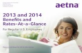 2013 Benefits and Rates at a Glance - Aetna · 2013-10-11 · Aetna 2013 Benefits and Rates-at-a-Glance for Regular Employees (working 20 hours or more per week) OPTIONAL BENEFITS