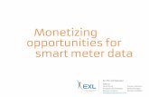 Monetizing opportunities for smart meter data - …...[ Monetizing opportunities for smart meter data ] new revenue sources similar to telecom and digital service providers. For example,