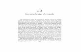 Invertebrate Animals - National Oceanic and Atmospheric ...INVERTEBRATE ANIMALS 211 In the following pages, I shall discuss the principal types of com mercially valuable invertebrates