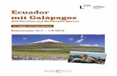 Ecuador mit Galápagos - LCH · Riesenschildkröte „Lonesome George“ behei-matet war. F/M/A 15. Tag, Di., 30.7.2019: Abschied von Galápagos Per Bus zum Hafen und mit der Fähre