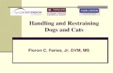 Handling and Restraining Dogs and Cats - Texas A&M University · Carrying Cats Grasp scruff of cat’s neck with one hand. Support cat’s body with other forearm. Hold cat’s rear