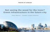 Not seeing the wood for the trees? Green infrastructure in ... · Green infrastructure The network of green spaces (as well as features such as street trees and green roofs) that