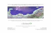 DESIGNING A RESILIENT NETWORK OF MARINE PROTECTED … Bay MPA... · 2 As defined by the Locally Managed Marine Area Network, a LMMA is a delineated marine area, including coral reefs,