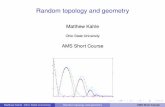Random topology and geometry - Statistical Sciencesayan/JMM/randomtopology.pdf · topological “features” detected with topological data analysis. ... combinatorics are homotopy