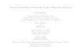 Rational Interpolation Methods for Nonlinear Eigenvalue ... · Rational Interpolation Methods for Nonlinear Eigenvalue Problems Michael Brennan Thesis submitted to the Faculty of
