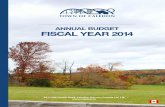 ANNUAL BUDGET FISCAL YEAR 2014 · 2015-01-08 · Corporate Services Development Approval & Planning Policy ... The Greater Toronto Airports Authority operates Toronto Pearson International