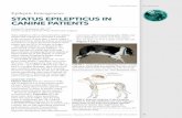 Epileptic Emergencies STATUS EPILEPTICUS IN CANINE PATIENTS · Ongoing Antiepileptic Drug Therapy Once the patient is stabilized, long-term anticonvulsants can be initiated to prevent