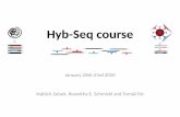Hyb-Seq NGS course · • Basic introduction to Illumina HTS technology ... • many free as well as paid applications. Phylogenomic approaches • Using whole-genome sequences or
