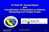 CV-SALTS Annual Report and Consideration of Resolution to ... · Consideration of Resolution to Release Remaining CAA Project Funds . 4 December 2011 CV-SALTS Annual Report 2 ...