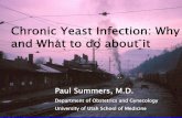 Chronic Yeast Infection: Why and What to do about it · Skin Barrier • Healthy skin only allows entry of chemicals with a molecular weight less than 500 • Microbes, skin irritants