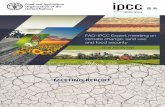 MEETING REPORT - Food and Agriculture Organization · FAO-IPCC Expert meeting on climate change, land use and food security 5. Policies for land use, sustainable food production and