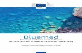 Bluemed€¦ · opportunities for blue growth and jobs, ranging from fisheries to tourism. The region’s geopolitical complexity may represent a constraint on implementing framework