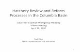 Hatchery Review and Reform Processes in the Columbia Basinspecies.idaho.gov/.../2020/04/Kline-Hatchery-Reform... · 4/28/2020  · Hatchery Reform 1. Best management practices and