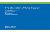 Freshwater White Paper - MacArthur Foundation · for Integrated River Basin management (IRBM); and implementing Environmental flows (Eflows) within IRBM approaches (Sections 2 and