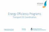 Energy Efficiency Programs - International Council on ... · Energy Efficiency Labelling for LDV • Mandatory EE Labelling for LDV, categories N1 and M1 until of 3.500 kg. • Comparative