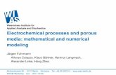 Electrochemical processes and porous media: mathematical ... · Electrochemical processes and porous media: mathematical and numerical modeling Jürgen Fuhrmann Alfonso Caiazzo, Klaus