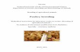 Poultry breeding · Commercial Production Statistics 7 Other Poultry Industries 7 The Modern Poultry Industries – Vertical Integration of the Poultry Industry 8 Breeds. History