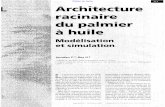 Retour au menu - Cirad · (Bland et Jones, 1992), enfin des modèles mathématiques d’architecture racinaire (Diggle, 1988 ; Le Roux, 1994 ; Pagès et al., 1989 et 1995). Les auteurs