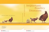 Important Poultry Diseases · 2020-04-23 · Foreword We first published the “Important Poultry Diseases ” in 1972 and, ever since, it has remained the most sought after of all