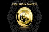 Presentation EAGLE AURUM COMPANY - WordPress.com · 2016-11-12 · Eagle Aurum Company has a detailed plan of international expansion. It implies opening of at least 30 offices within