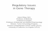 Regulatory Issues in Gene Therapy - UCLA CTSI...Regulatory Issues in Gene Therapy Antoni Ribas, M.D. Professor of Medicine ... MRSC 5. IBC 6. CTRC 7. FDA Pre-IND meeting 8. Manufacture