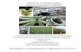 PROFILE OF C.S.PRADEEP KUMAR - VETIVER e- profile 1.pdf · C.S.Pradeep Kumar Email : prabio@gmail.com Skype - prabio71 2 PRADEEP KUMAR’S PROFILE Experienced over 21 years in Plant
