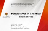 Perspectives in Chemical Engineering - CPIQ...Perspectives in Chemical Engineering Prof. Nader Mahinpey IRC Chair University of Calgary, Canada April 25, 2016, Bogotá-Colombia - IV