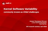 Kernel Software Variability3/24 Kernel Config #ifdef challenges Kernel Config #ifdef challenges Kernel's config allows great deal of customization Allow to run on big server and small