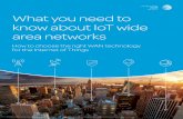 What you need to know about IoT wide area networks€¦ · 3 What you need to know about IoT wide area networks Broadband Cellular 3G and 4G LTE Today, several generations of cellular