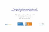Fluctuating Hydrodynamics of Flow through Porous Membranes · – Create particles at open boundaries – Move all the particles – Process any interactions of particle & boundaries