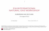 EIA INTERNATIONAL NATURAL GAS WORKSHOP · EIA INTERNATIONAL NATURAL GAS WORKSHOP EUROPEAN GAS OUTLOOK 23 August 2012 Important Notice: The circumstances in which this publication