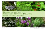 Gardening with Oregon Native Plants - NPSOregon.org Gardening with Oregon Native Plants.pdf · Furthermore, garden soil often is not “native” soil, since it may have been altered