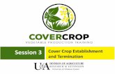 Session 3 Cover Crop Establishment - uaex.edu · 2019-07-29 · winter cover crops – Shorter days and cooler temperatures moving into fall restrict plant growth • Later planting