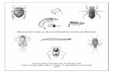 Illustrated Guide to Boreal Shield Invertebrate Benthos · Illustrated Guide to Boreal Shield Invertebrate Benthos Cooperative Freshwater Ecology Unit Vale Living with Lakes Centre,