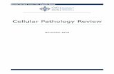 Cellular Pathology Review - pookah.myzen.co.uk...review Cellular Pathology Services across Hywel Dda NHS Trust and latterly the Health Board. They are detailed as follows: 2.1 EXTERNAL