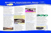 Scottish Invertebrate News 1 - Buglife€¦ · Invertebrate Conservation’, we are entering a very exciting time for invertebrate conservation in Scotland. This biannual newsletter