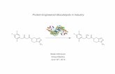 Protein-Engineered Biocatalysts in Industrychemlabs.princeton.edu/macmillan/wp-content/... · Primrose, S. B.; Twyman, R. In Principles of Gene Manipulation and Genomics, 7th ed.;