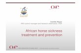 African horse sickness treatment and prevention · African horse sickness treatment and prevention AHS control manager and research veterinarian, RSA. World Organisation for Animal