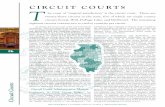 CIRCUIT COURTS T - bestjudgmentrecoverycourse.com€¦ · resume office, the circuit court has jurisdiction for all matters properly brought before it. The circuit court shares jurisdiction